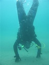 Diverfest from San Buenaventura CA | Scuba Diver