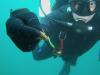 Bill from Hatfield PA | Scuba Diver