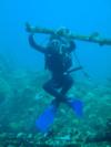 Salah from Jeddah  | Scuba Diver