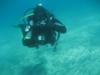 Elias from Thessaloniki  | Scuba Diver