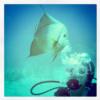 Cherise from    | Scuba Diver