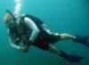 Rich from Arlington VA | Scuba Diver