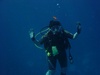 Should I give my correct certification when asking for a dive buddy?