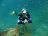 mark from Hitchin  | Scuba Diver