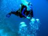Mike from Arlington VA | Scuba Diver