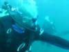 Andrew from Willard NC | Scuba Diver