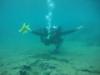 Monty from Mount Carmel PA | Scuba Diver