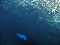 Most Recent Blue Grotto trip