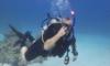 Christopher from    | Scuba Diver
