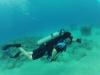 Dameon from Ewa Beach HI | Scuba Diver