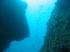 Sebastian from Castellar de la Fron  | Dive Center