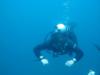 Hal from Quincy MA | Scuba Diver