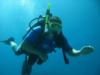 Curt from portland Me | Scuba Diver