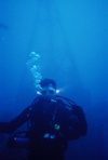 ne1 diving before xmas in north florida?