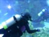 Paula from Lauderdale by the Sea FL | Scuba Diver