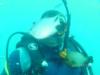 maido from JEDDAH   | Scuba Diver