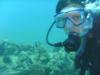 Amanda from Fairfield CA | Scuba Diver