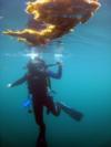 Dave from Mechanicsville VA | Scuba Diver