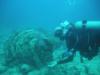 Adam from Pelham NY | Scuba Diver