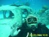 James from Palmyra NJ | Scuba Diver