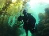 Bryan from San Clemente CA | Scuba Diver