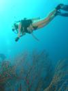 Kathryn from New York NY | Scuba Diver