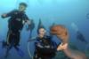 Adrian from London  | Scuba Diver