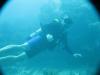 Robert from Key West FL | Scuba Diver