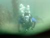 Doug from Huntington Beach CA | Scuba Diver