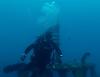 Shane from Cape Coral FL | Scuba Diver