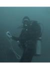 Great scuba scenes in 