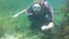 Tammy from Orlando FL | Scuba Diver