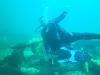 Dive Buddy wanted for boat dive in panama city this weekend