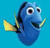 Dory