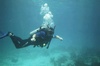 Ken from South Miami FL | Scuba Diver