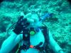 Robert from lisbon ME | Scuba Diver