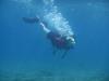 Comal River Dive, New Braunfels Texas - New Year’s Day