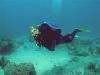 Richard from Deerfield Beach FL | Scuba Diver