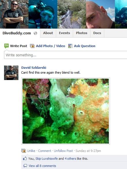 Top Scuba Diving Groups on Facebook