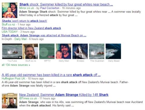 Shark Attack in Auckland New Zealand - Adam Strange