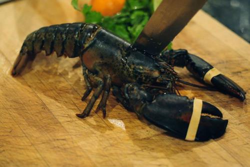 How to Humanely Kill and Boil a Lobster