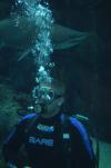 Donnie from North Port FL | Scuba Diver
