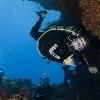 Nate from Bal Harbour FL | Scuba Diver