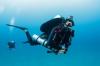 James from Palm Beach Gardens FL | Instructor