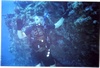 Andrew from Naha Okinawa | Scuba Diver