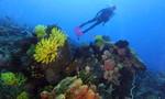 ScubaEarth is all about you
