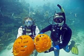 Festive pumpkin carving below the sea in the Keys Festive pumpkin carving below the sea in the Keys