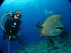 esperanza from mexico Mexico | Scuba Diver