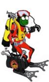 Luis from   | Scuba Diver