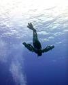 Zsolt from phoenix AZ | Scuba Diver